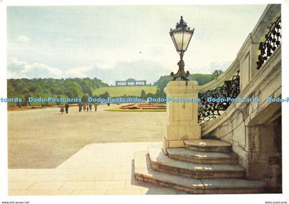 D178547 Wien. Schloss Schonbrunn. Blumenparterre. Nr. 5114