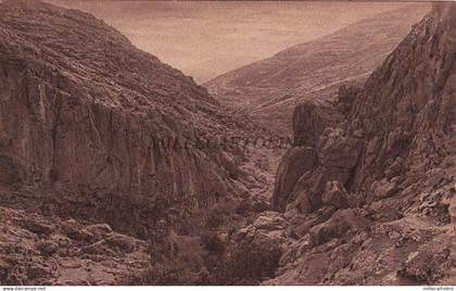 PALESTINE - In the Wilderness of Judea - Jamal Bros 1921