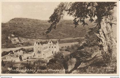 PC01492 Tintern Abbey from Chapel Hill. Frith