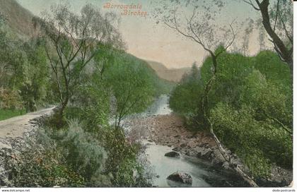 PC21467 Borrowdale Birches. Valentine. 1907