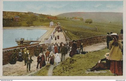 PC49387 Ogden Reservoir. Lion series