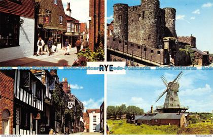 R070727 Rye. Multi view