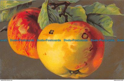 R121199 Painting Postcard. Apples