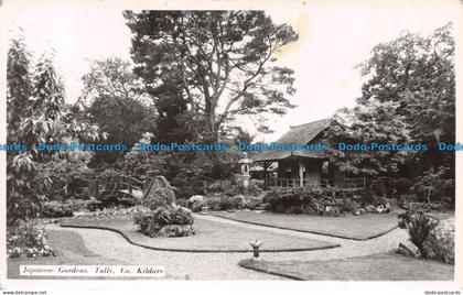 R132251 Japanese Gardens. Tully Co. Kildare. RP. 1955