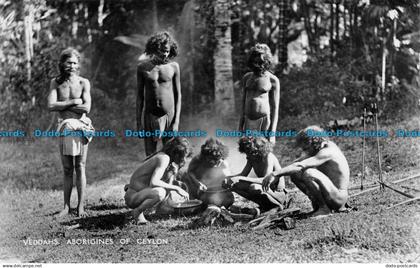 R159016 Veddahs. Aborigines of Ceylon. Plate