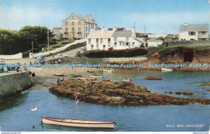 R217401 Bull Bay Anglesey Salmon 1963