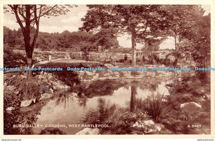 R325998 Burn Valley Gardens West Hartlepool Valentine Phototype