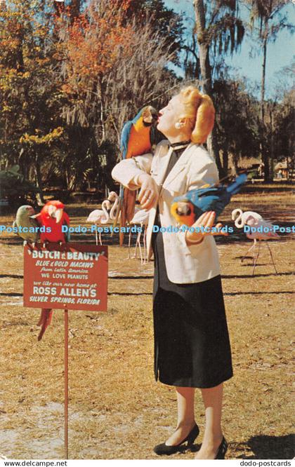 R363205 Floridas Silver Springs Macaws Parrots and Flamingos at Ross Allens Semi