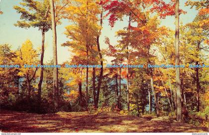 R439632 Indian Summer Muskoka Trading Post No 11 Fry Photo Shoppe Henry Fry E S