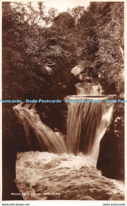 R444924 Ingleton Pecca Twin Falls Walter Scott RP