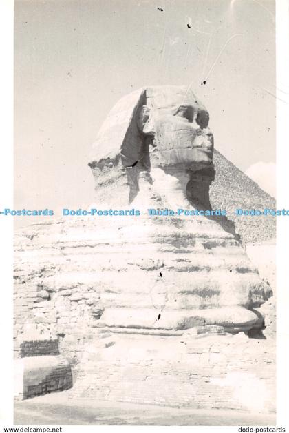 R452100 Sphinx Agfa Postcard