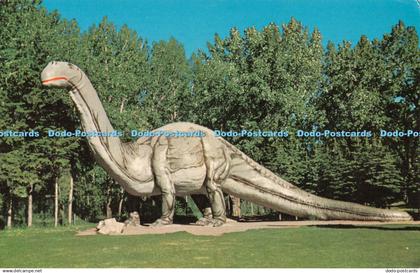 R489451 Calgary Alberta Folks in Calgary are Proud of the Zoo and Dinosaur Park