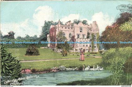 R622410 Celbridge Abbey Celbridge Co Kildare Emerald Series 1908