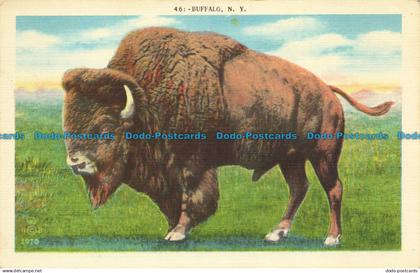 R644096 N. Y. Buffalo. Unico. Postcard