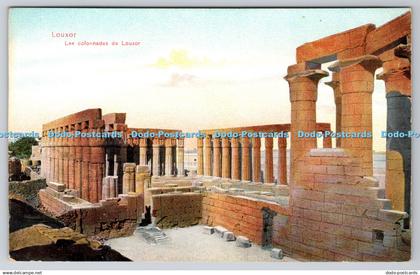 R763662 Louxor Les Colonnades de Louxor The Cairo Postcard Trust Dr Trenkler