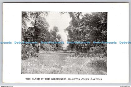 R766779 Hampton Court Palace The Glade in the Wilderness