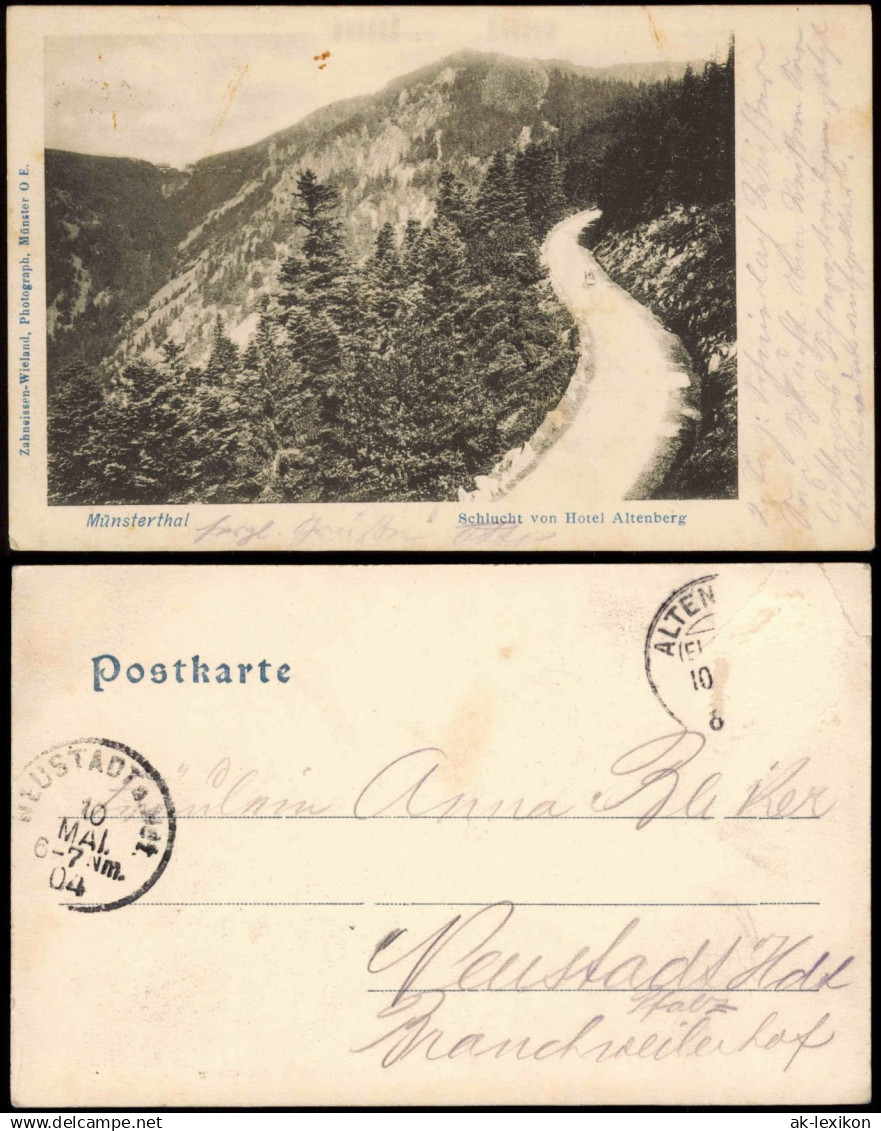 Münster Elsass Munster  Haut-Rhin Münsterthal Schlucht von Hotel Altenberg 1904