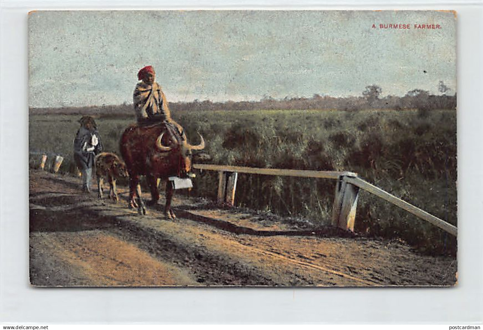 MYANMAR Burma - A Burmese farmer - Publ. unknown