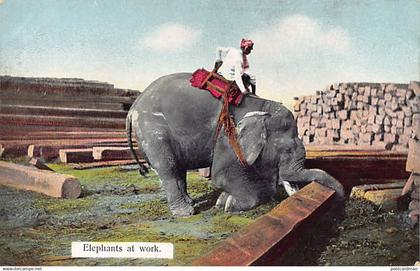 MYANMAR Burma - Elephants at work - Publ. D. A. Ahuja 11