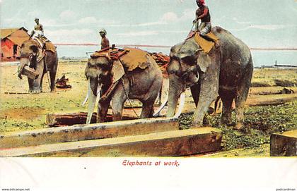 MYANMAR Burma - Elephants at work - Publ. D. A. Ahuja 23