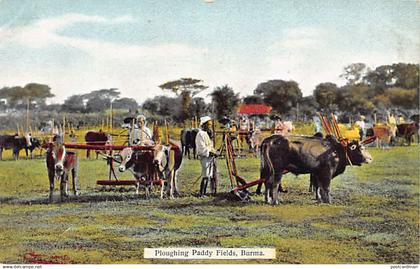 MYANMAR Burma - Ploughing paddy fields - Publ. D. A. Ahuja 36