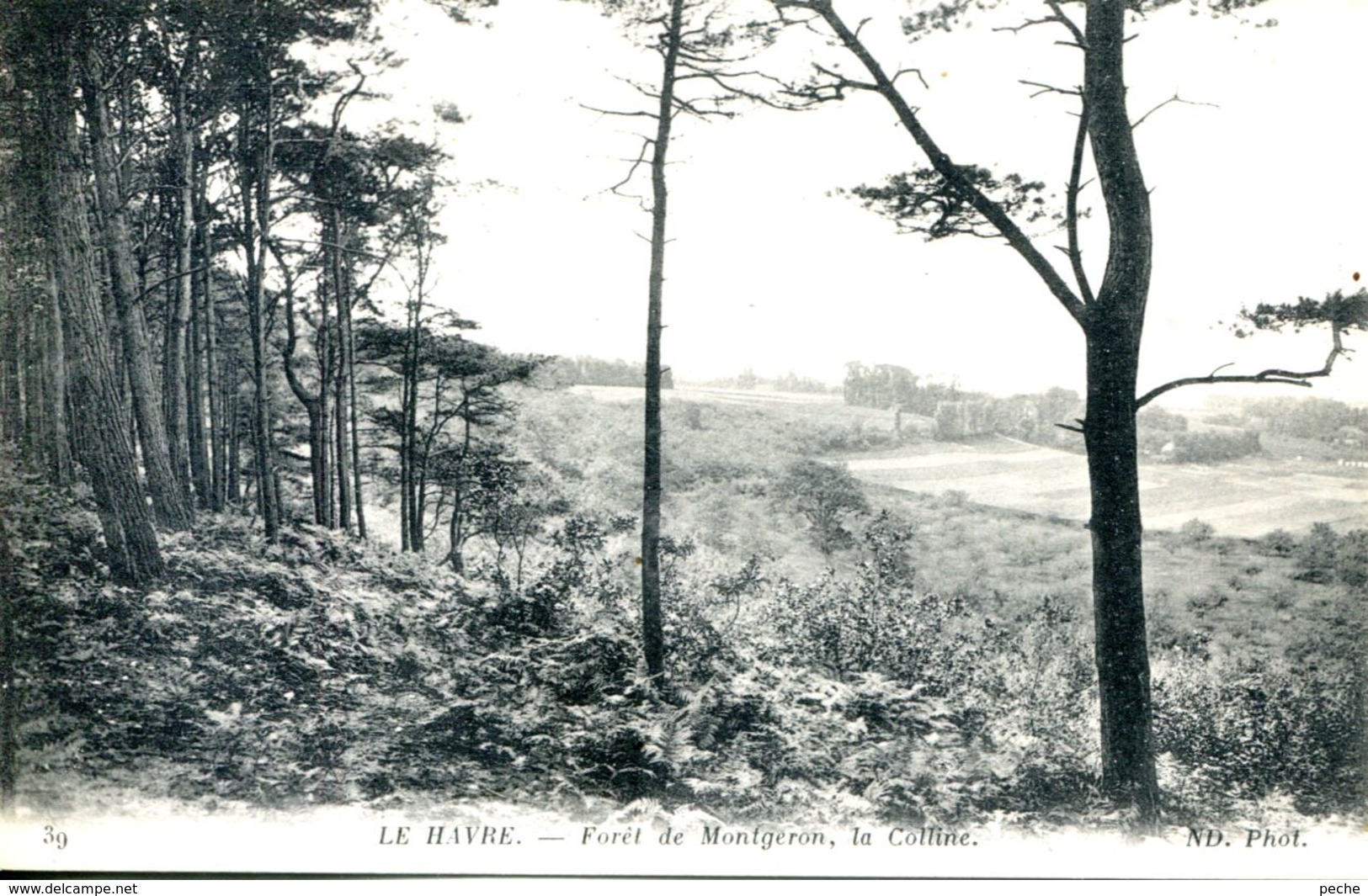 N°69571 -cpa Le Havre -forêt de Montgeon-