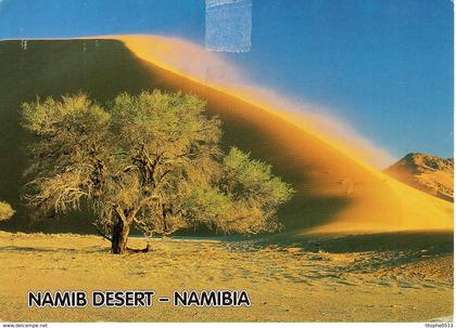 NAMIBIE. Carte postale écrite en 1997. Désert du Namib.