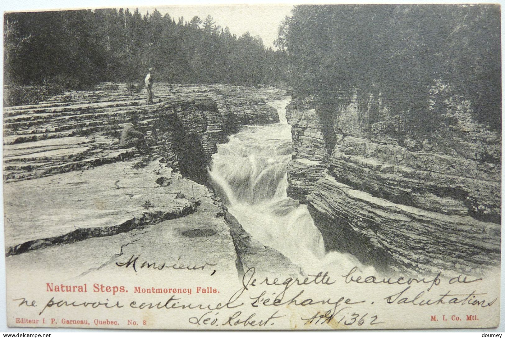 NATURAL STEPS - MONTMORENCY FALLS