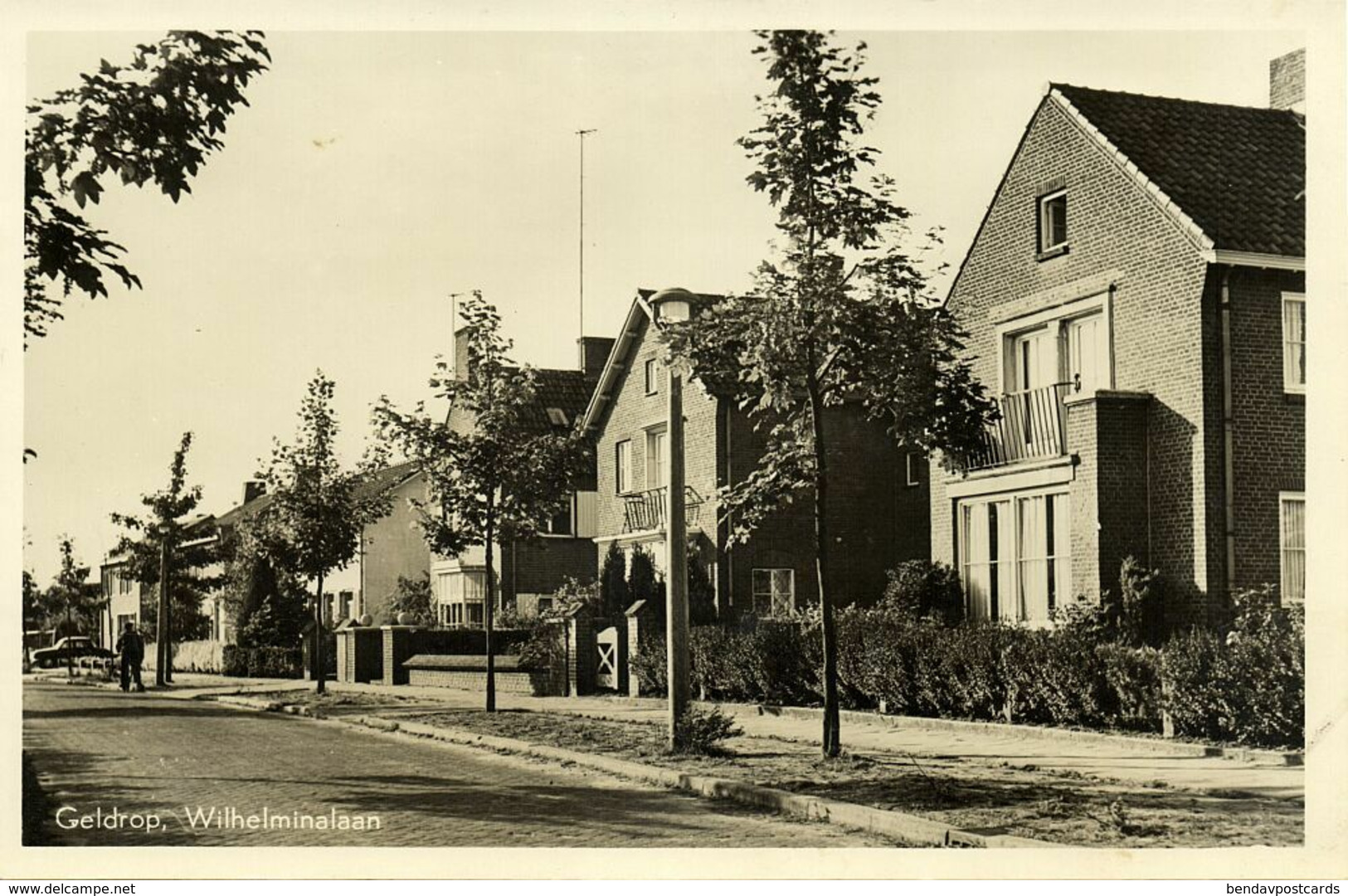 Nederland, GELDROP, Wilhelminalaan (1950s) Ansichtkaart