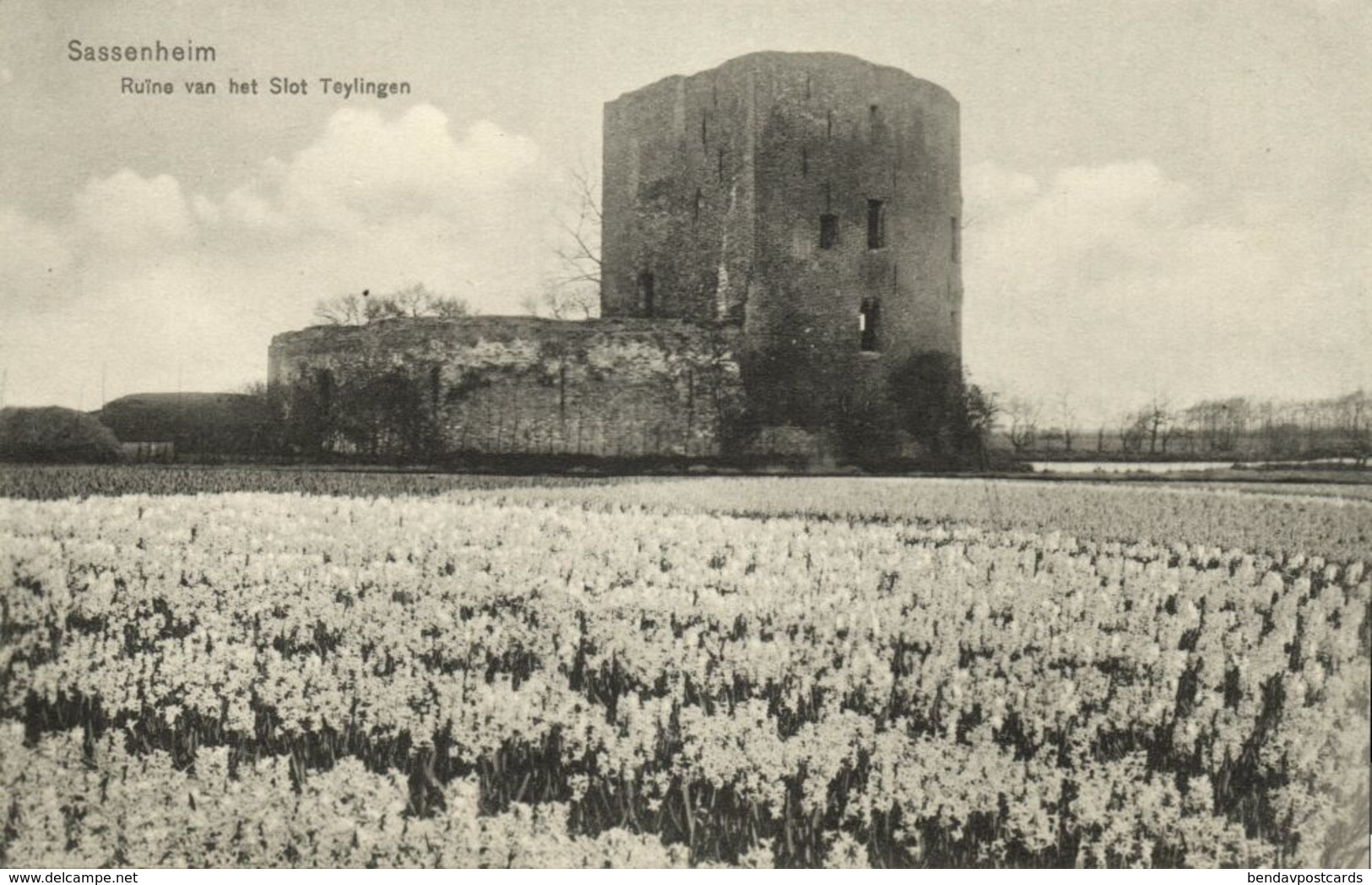 Nederland, SASSENHEIM, Ruïne van het Slot Teylingen (1910s) Ansichtkaart