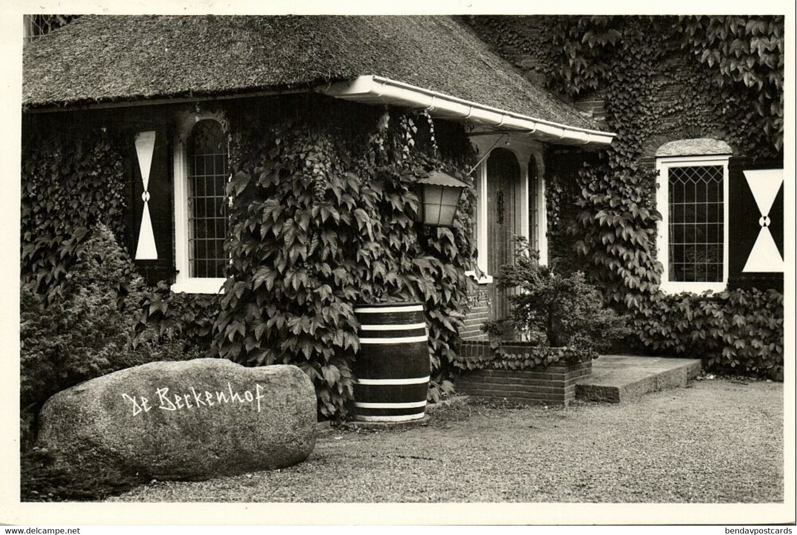 Nederland, ZUIDLAREN, De Berkenhof (1959) Ansichtkaart