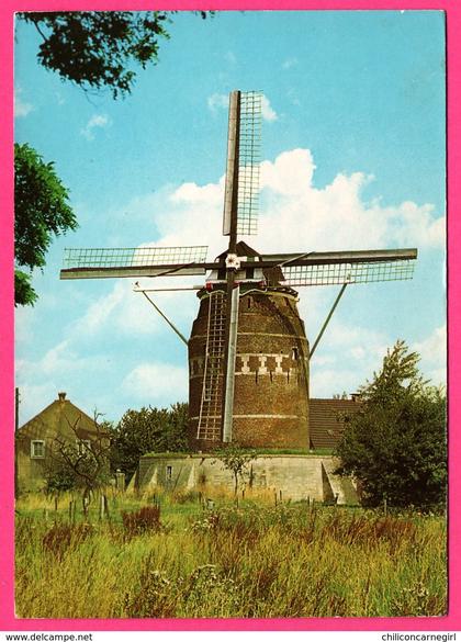 Nederland - Gronsveld - Korenmolen - Torenmolen - Moulin à blé - Anno 1623 - Moulin à vent - Molen - 1985