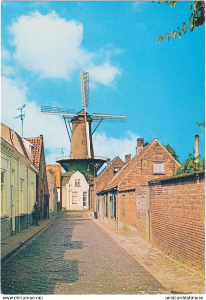 Hulst - Stadsmolen - & windmill