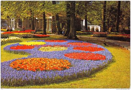 Keukenhof - Lisse