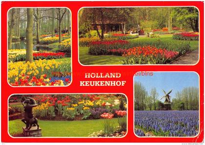 Keukenhof - Lisse