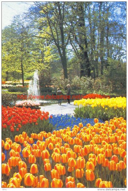 Keukenhof - Lisse