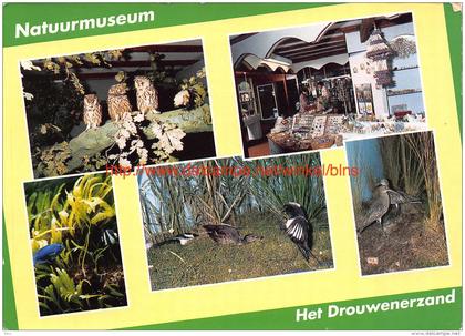 Natuurmuseum Het Drouwenerzand