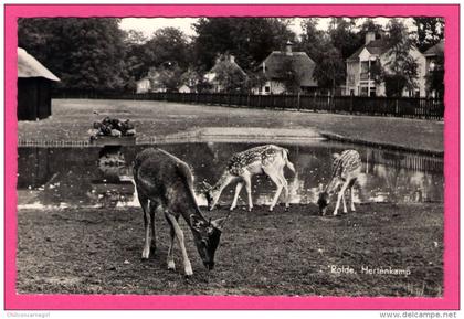 Rode - Hertenkamp - Faon - JOSPE