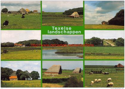 Landschappen - Texel