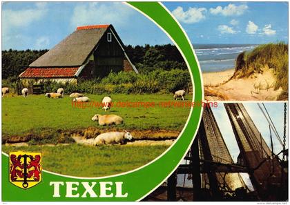 Texel