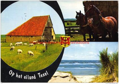 Texel