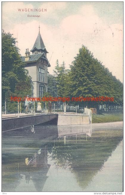 1907 Duivendal Wageningen