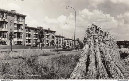 Wageningen - Diedenweg