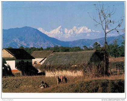 Asie - Népal - Kathmandu - Ganesh Himal