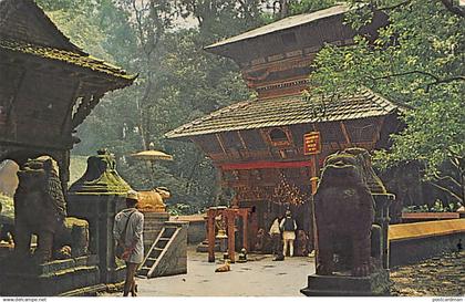 Nepal - Temple of Bajra Barahi Chapagoun