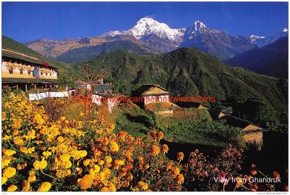 View from Ghandruk - Nepal