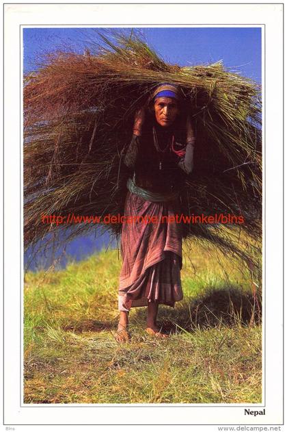 woman carrying animal fodder - Nepal