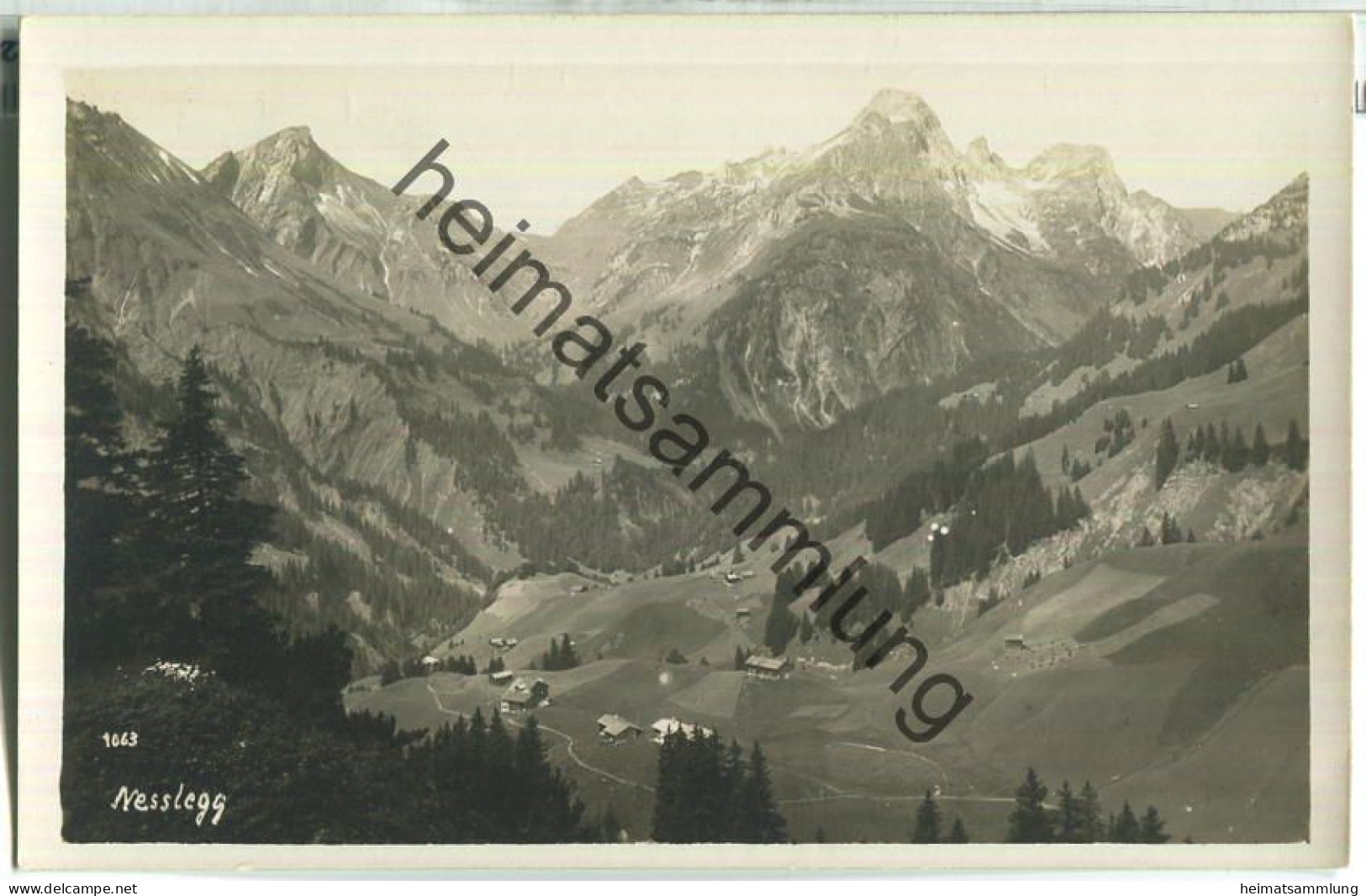 Nesslegg - Foto-Ansichtskarte - Verlag Josef Hegenbart Bludenz