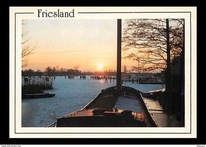 Pays-Bas - Nederland - Friesland - CPM - Voir Scans Recto-Verso