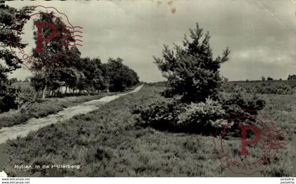 HOLTEN IN DE HOLTENBERG  Overijssel Holten HOLLAND HOLANDA NETHERLANDS